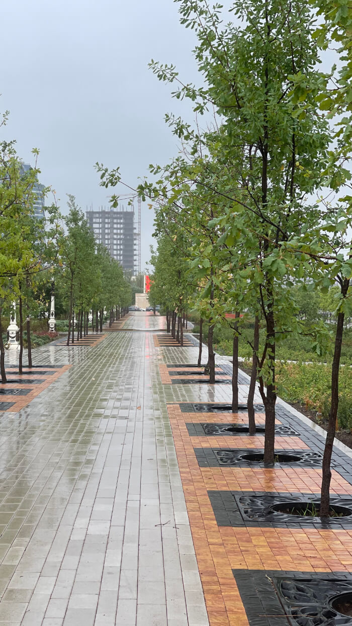 Приствольная решетка для дерева ZKING CRUST 1.2х1.2м Черная в Липецке фото