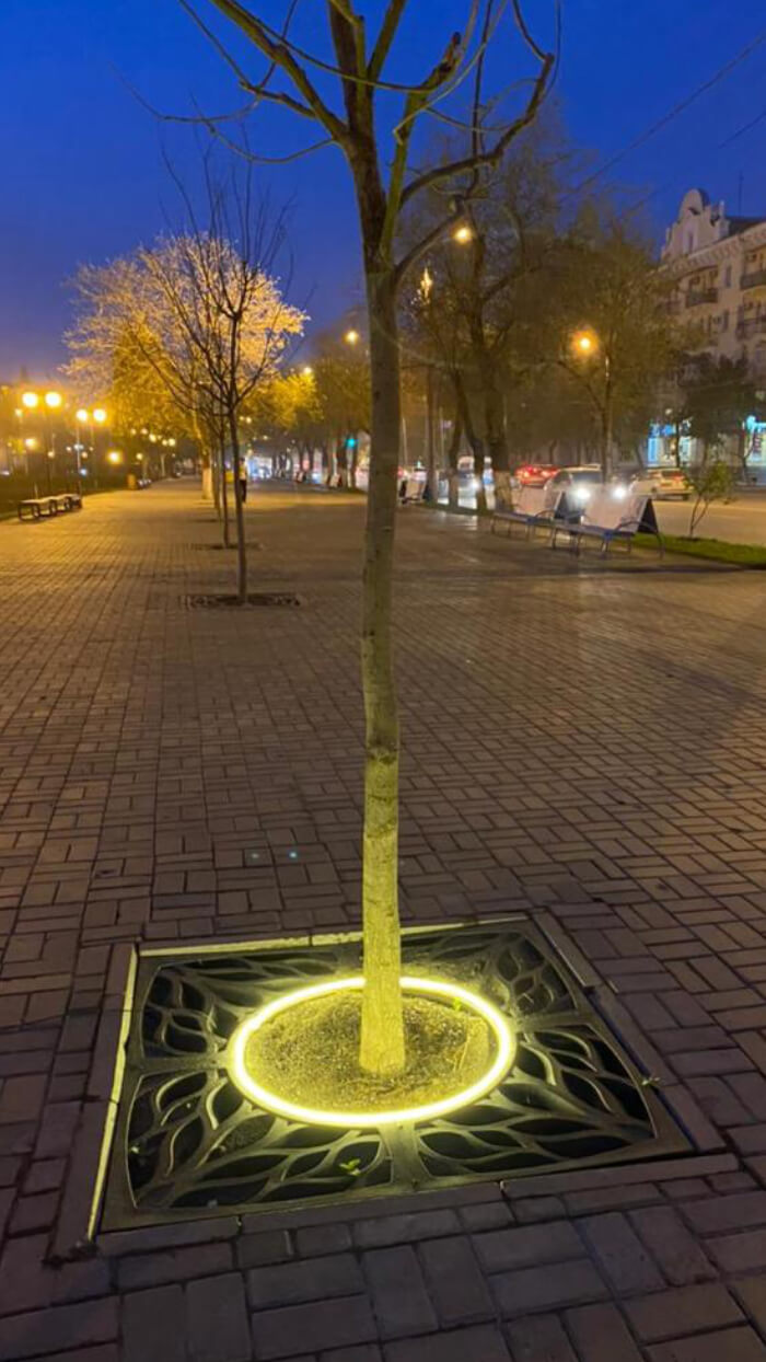 Приствольная решетка для дерева ZKING CRUST 1.2х1.2м Черная в Липецке фото